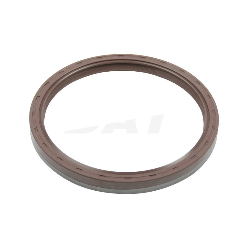 Oil Seal